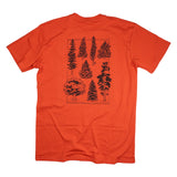 Falling Leaf Tee